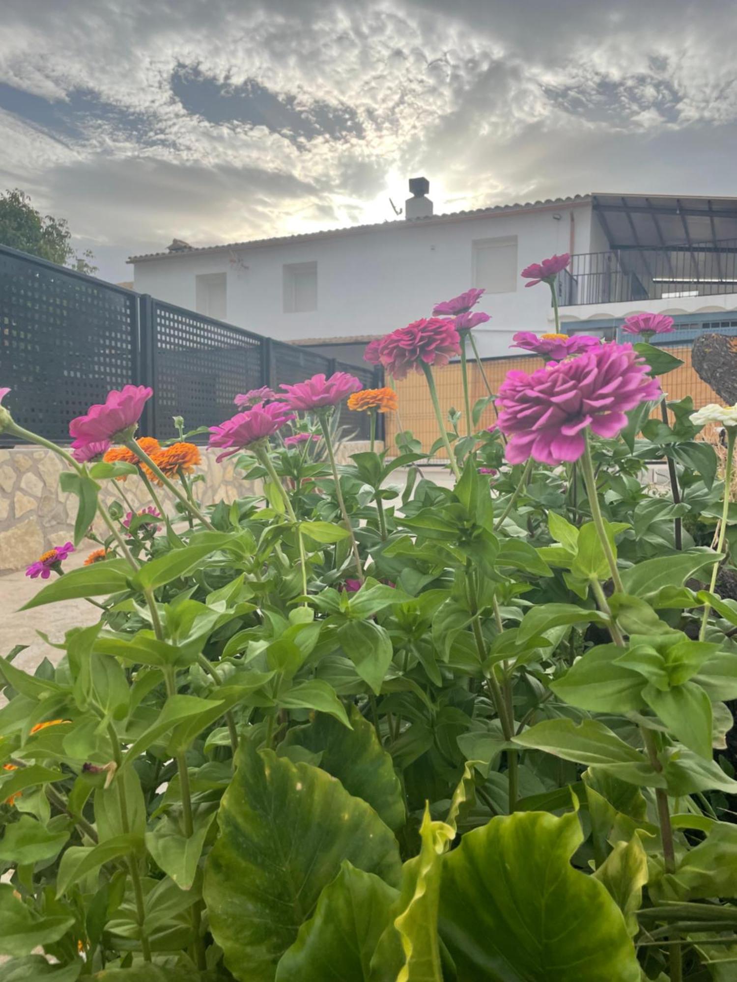 Vila Cortijo El Prado Ll Castril Exteriér fotografie